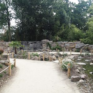 New walkway and new creek near the new Asian stork aviaries, 2025-07-12
