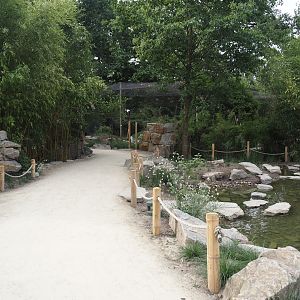 New walkway and new creek near the new Asian stork aviaries, 2025-07-12
