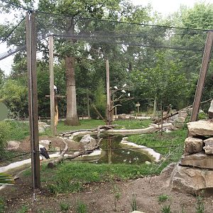 New Oriental white stork aviary, 2025-07-12