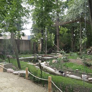 New Asian woolly-necked stork aviary, 2025-07-12