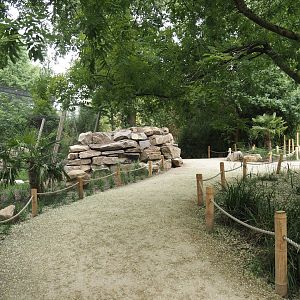Renovated walkway between the new Asian stork aviaries and the Asiatic lion exhibit, 2025-07-12
