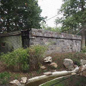 Part of the new Asian woolly-necked stork aviary, 2025-07-12
