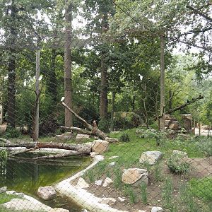 New Asian woolly-necked stork aviary, 2025-07-12