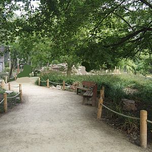 Renovated walkway between the new Asian stork aviaries and the Asiatic lion exhibit, 2025-07-12