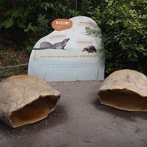 Play tortoise shells and signage for Asian mixed reptile exhibit, 2025-07-12