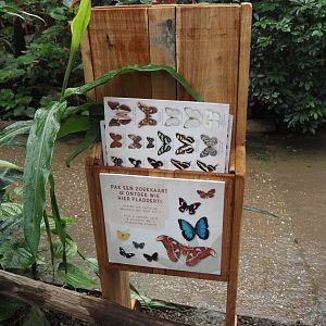 Dispenser for new butterfly search cards in the Orangutan greenhouse, 2025-07-12