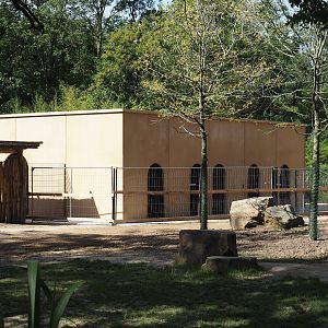 New stable for red river hogs and perhaps other African ungulates between Mountain bongo and Somali wild donkey paddocks, 2025-07-12