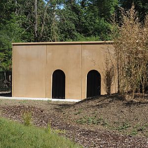 New stable for red river hogs and perhaps other African ungulates between Mountain bongo and Somali wild donkey paddocks, 2025-07-12