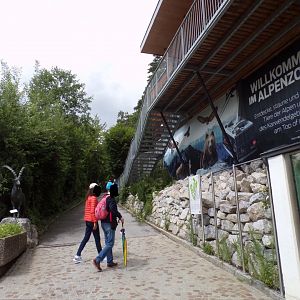 View after entering the zoo 9.7.25