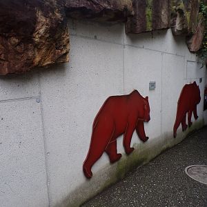 Bear species size comparison signs 9.7.25