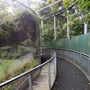 Viewing alongside wildcat enclosure 9.7.25