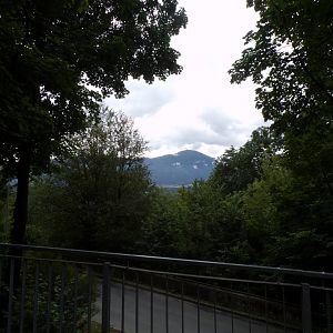 View of mountains from zoo 9.7.25