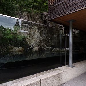 Eurasian otter enclosure 9.7.25