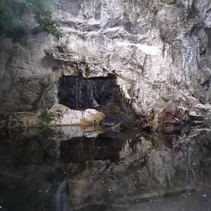 Eurasian otter enclosure 9.7.25