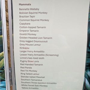 Mammal Species List