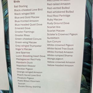 Bird Species List