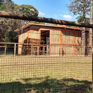 Almost done giraffe house - Belo Horizonte zoo