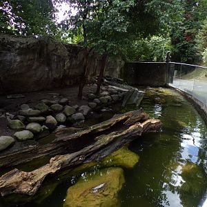Eurasian otter enclosure (is this connected to the other enclosure?) 9.7.25