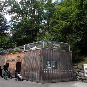 View of pine marten enclosure 9.7.25