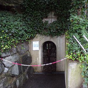 Former education area for old wolf enclosure 9.7.25