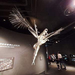 Welcome to the Micro-World - Lake Biwa Museum