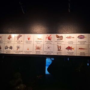 Signage example - deep sea tanks