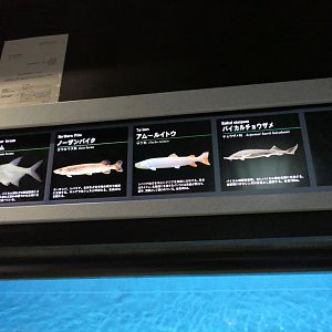 Signage example - Lake Biwa Museum