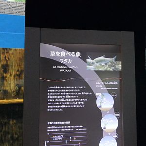 Signage example - Lake Biwa Museum