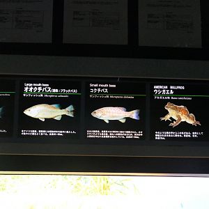Signage example - Lake Biwa Museum