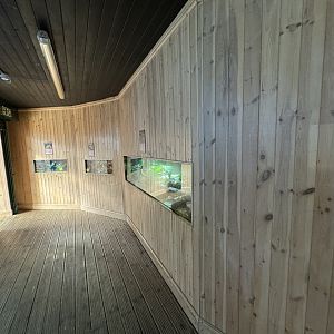 Amphian Exhibits at Tropical World (October 2024)