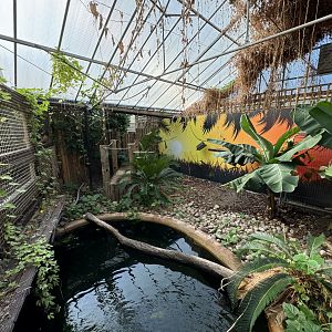 at Tropical World (October 2024)