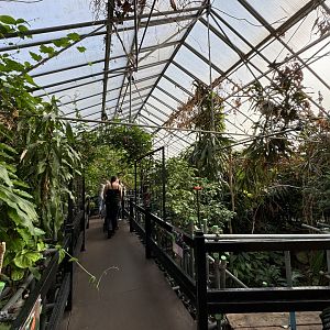 Butterfly House at Tropical World (October 2024)