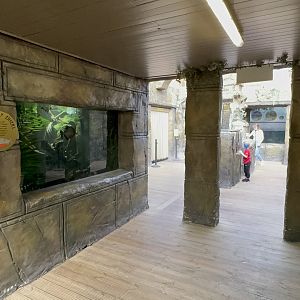 Aquarium Area at Tropical World (October 2024)