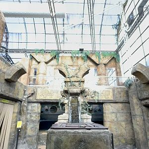 Aqurium Area at Tropical World (October 2024)