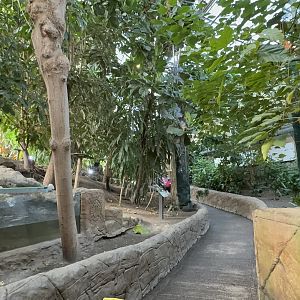 Waterfall House at Tropical World (October 2024)