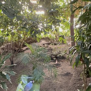 Tropical House at Tropical World (October 2024)