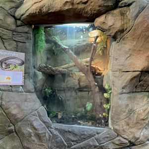 Spotted Python Enclosure at Tropical World (October 2024)