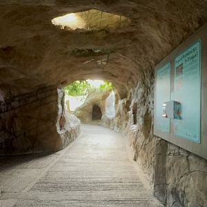Waterfall Cave at Tropical World (October 2024)