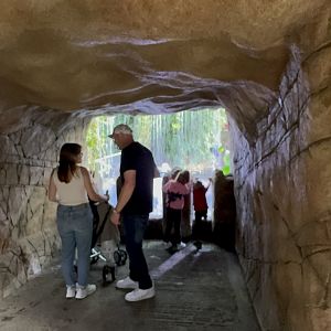 Waterfall Balcony at Tropical World (October 2024)
