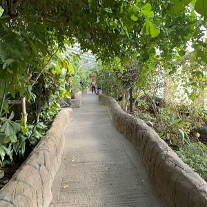 Waterfall House - Upper Level at Tropical World (October 2024)