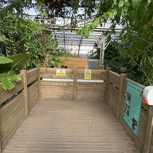 Waterfall Viewing Area at Tropical World (October 2024)