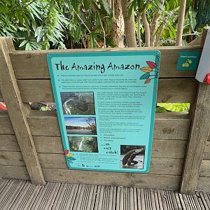 Amazon River Signage at Tropical World (October 2024)