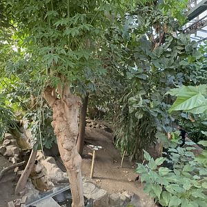 Waterfall House at Tropical World (October 2024)