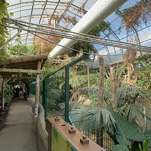 Rainforest Canopy House at Tropical World (October 2024)