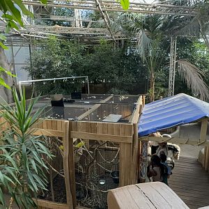 Rainforest Canopy House at Tropical World (October 2024)