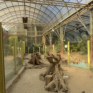 Desert House / Meerkat Enclosure at Tropical World (October 2024)