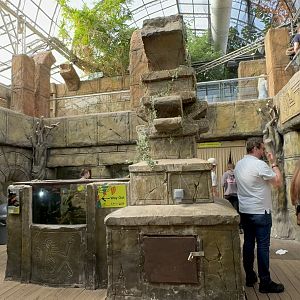 Aquarium at Tropical World (October 2024)