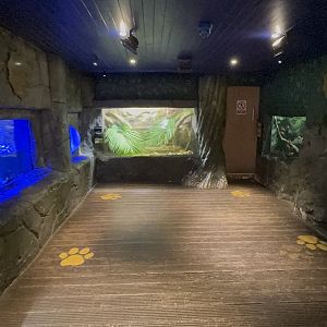 Aquariums at Tropical World (October 2024)
