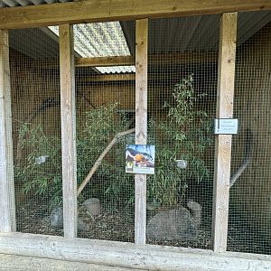 Prevost's Squirrel Enclosure at Wentworth Garden Centre (May 2025)