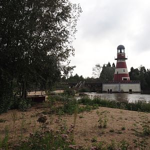 African penguin beach and lighthouse in the African penguin and Eastern Atlantic harbor seal exhibi, 2024-09-17